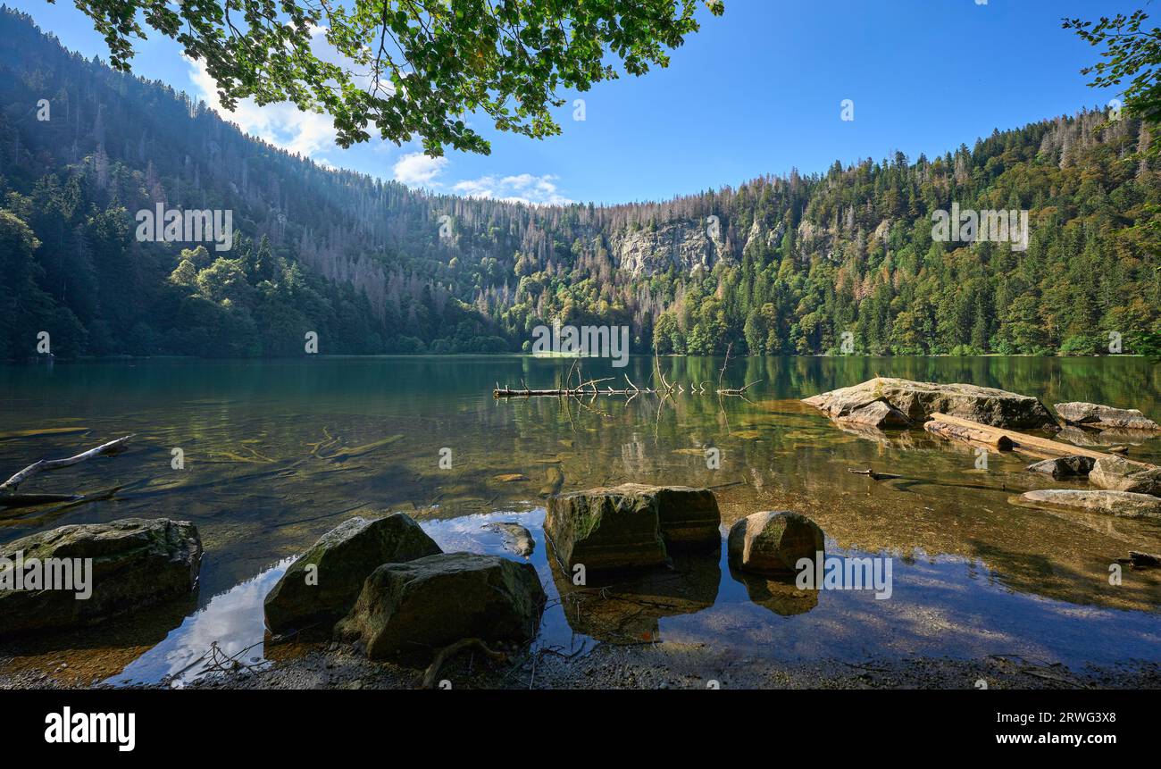 mysterious lake in the Black Forest below Feldberg summit, Baden-Wuerttemberg, Germany Stock Photo