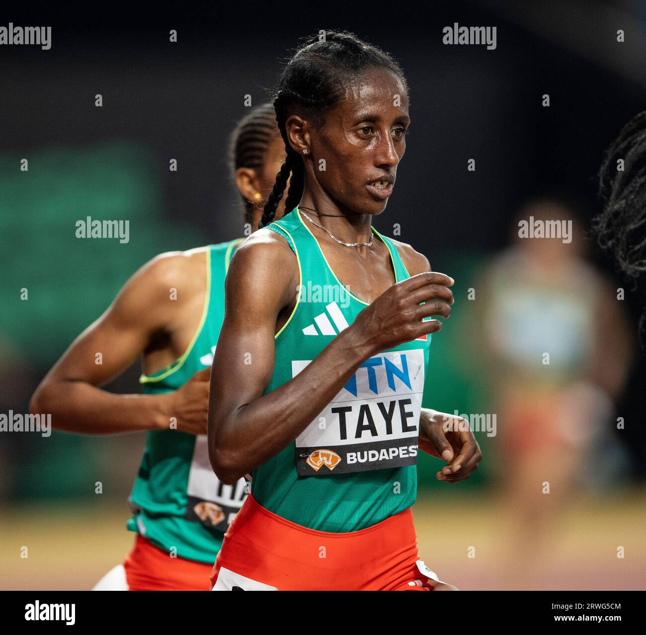 Leningrad kaltaklar va fohishalar