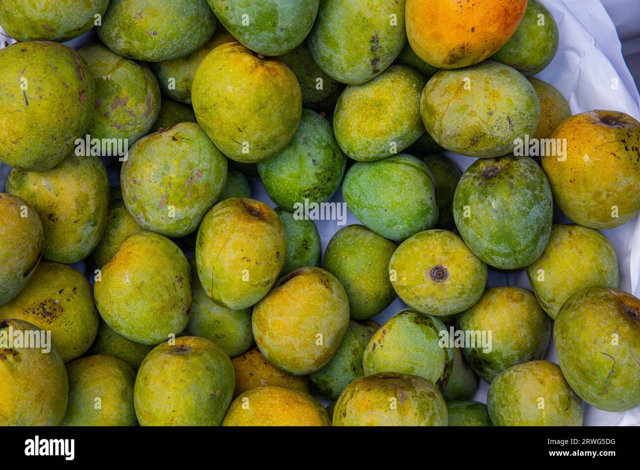 Mangoes on display at national fruits festival organized by ministry of agriculture, Dhaka, Bangladesh. Stock Photo