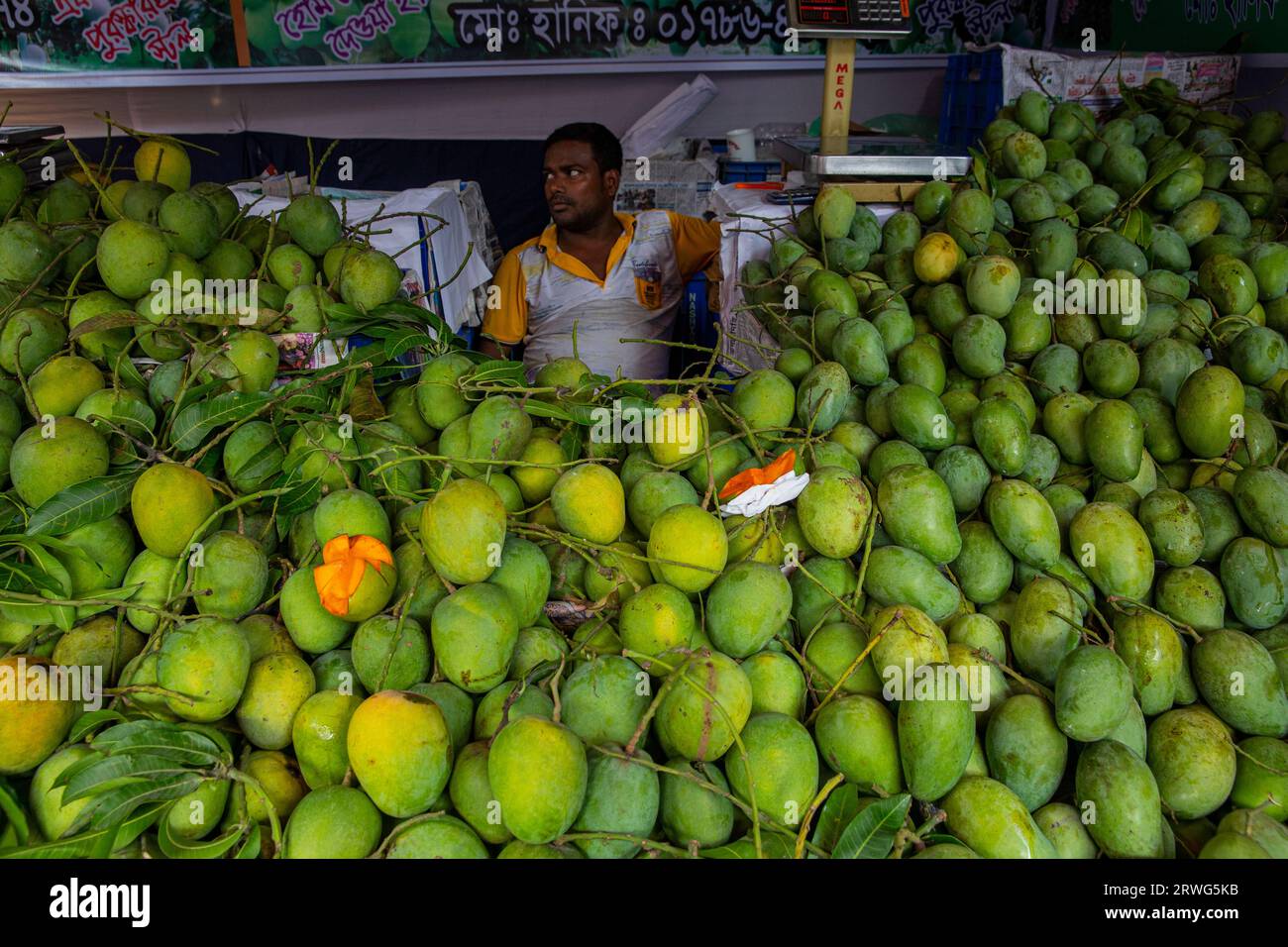 Differnt types of Mangoes on display at the National Fruits Festival