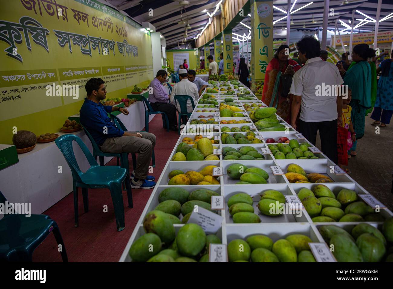 Differnt types of Mangoes on display at the National Fruits Festival