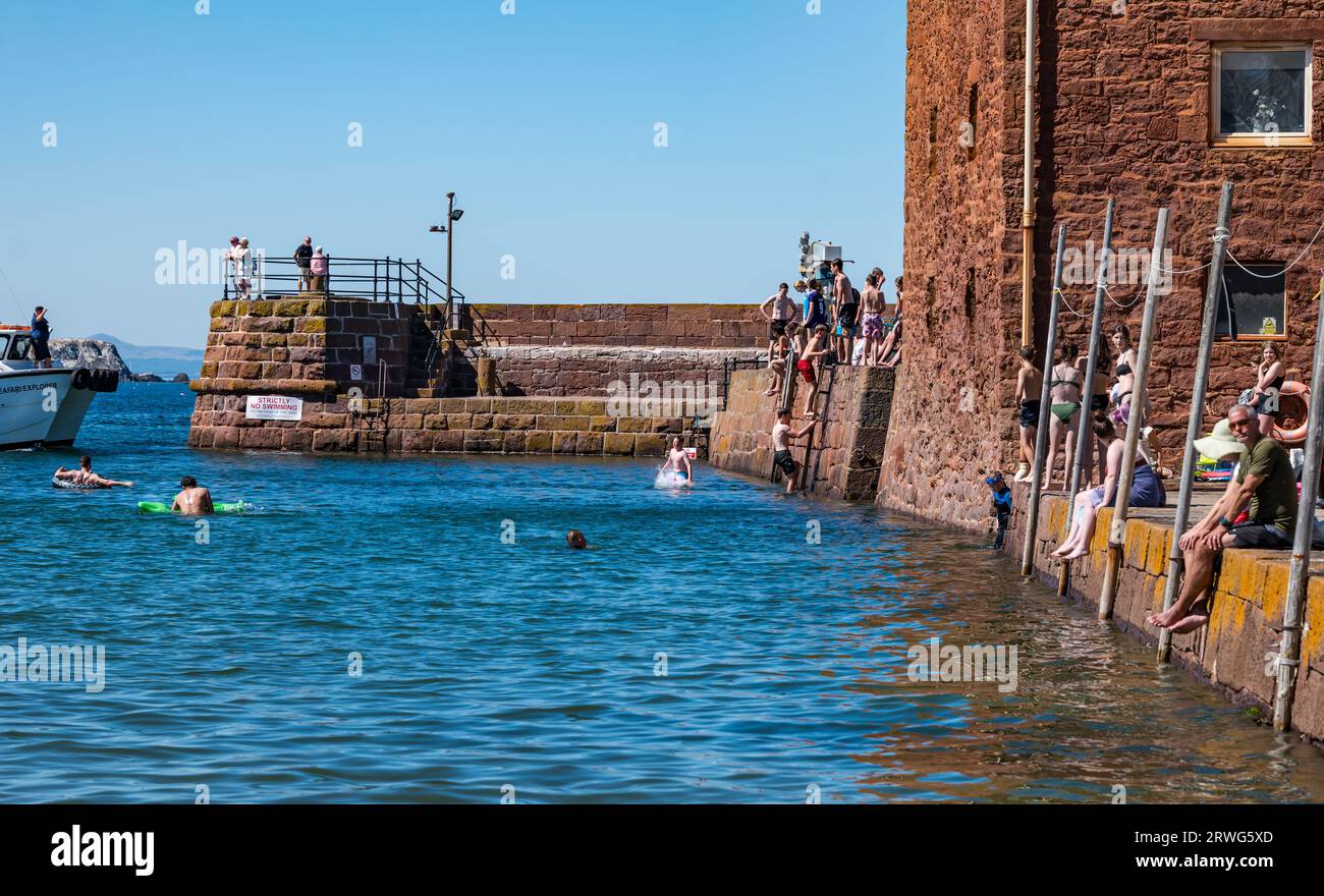 Children jumping into sea from quayside in hot Summer weather, North Berwick harbour, East Lothian, Scotland, UK Stock Photo