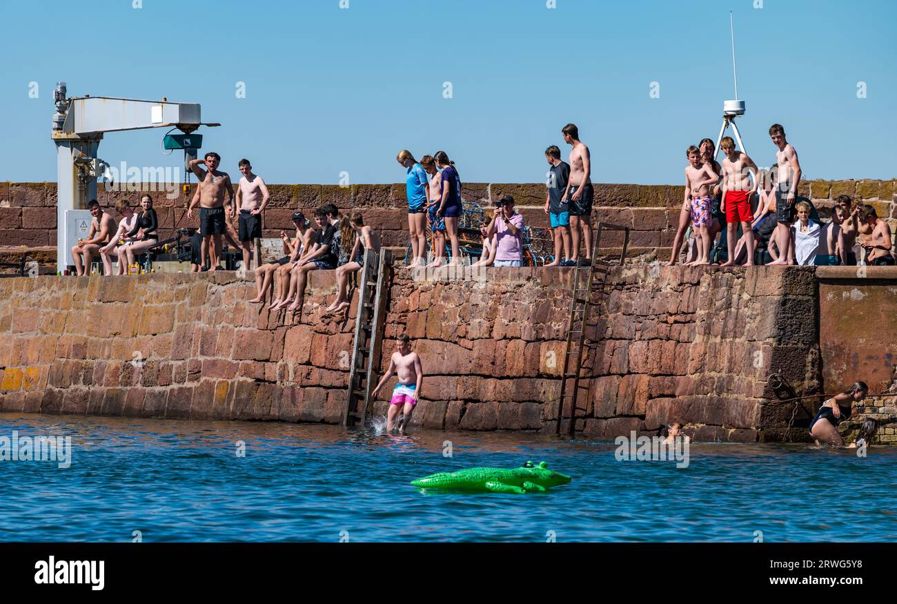 Children jumping into sea from quayside in hot Summer weather, North Berwick harbour, East Lothian, Scotland, UK Stock Photo
