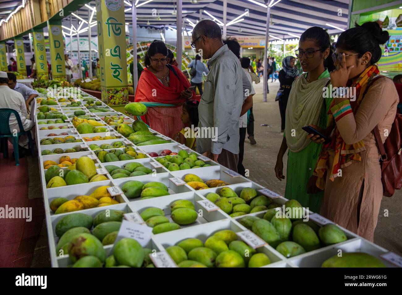 Differnt types of Mangoes on display at the National Fruits Festival