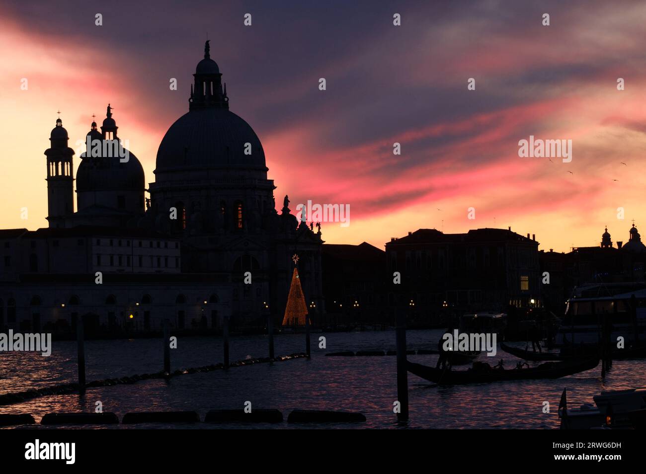 The lions of venice hi-res stock photography and images - Alamy