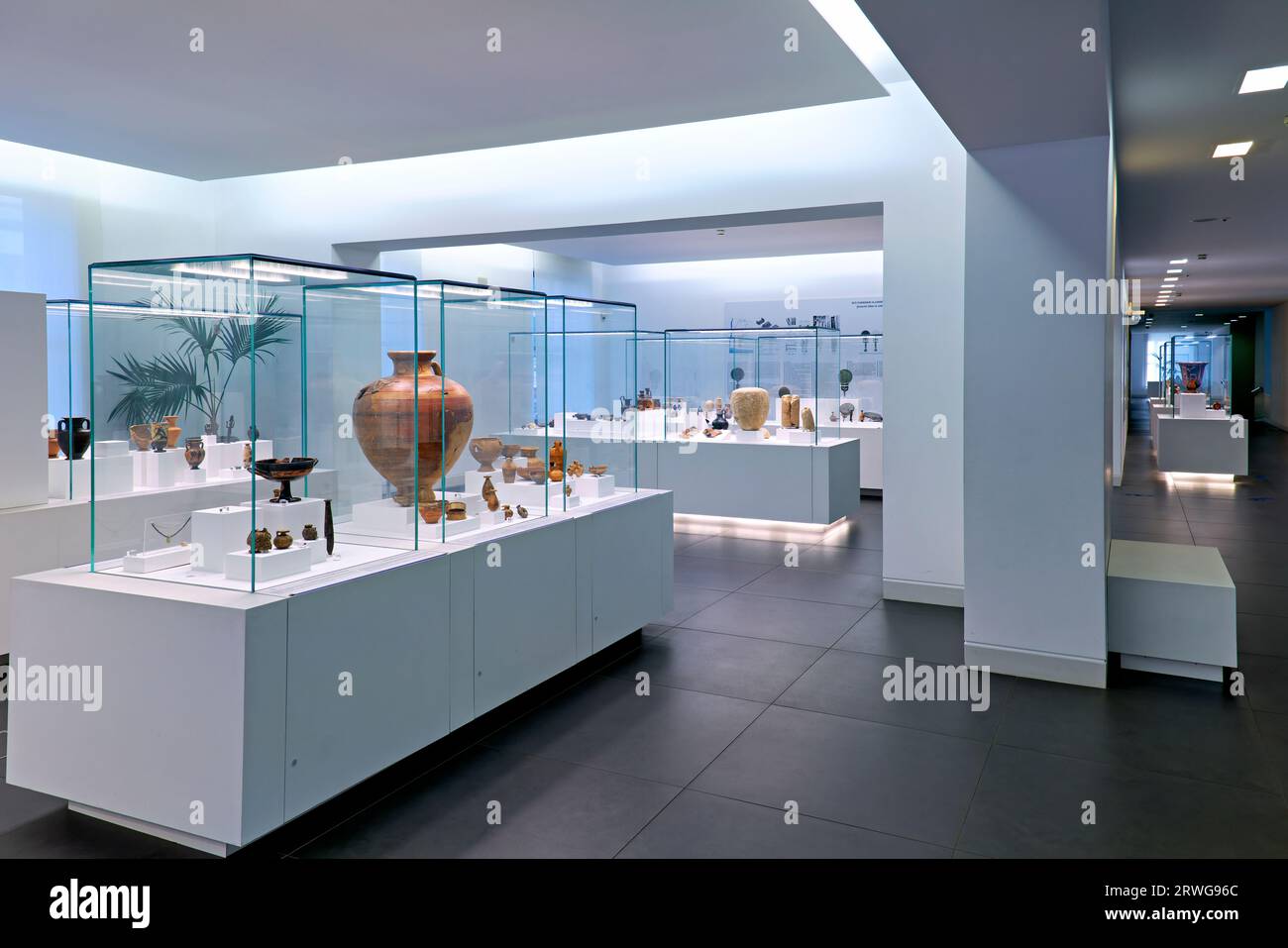 reggio-calabria-calabria-italy-the-national-museum-of-magna-grecia