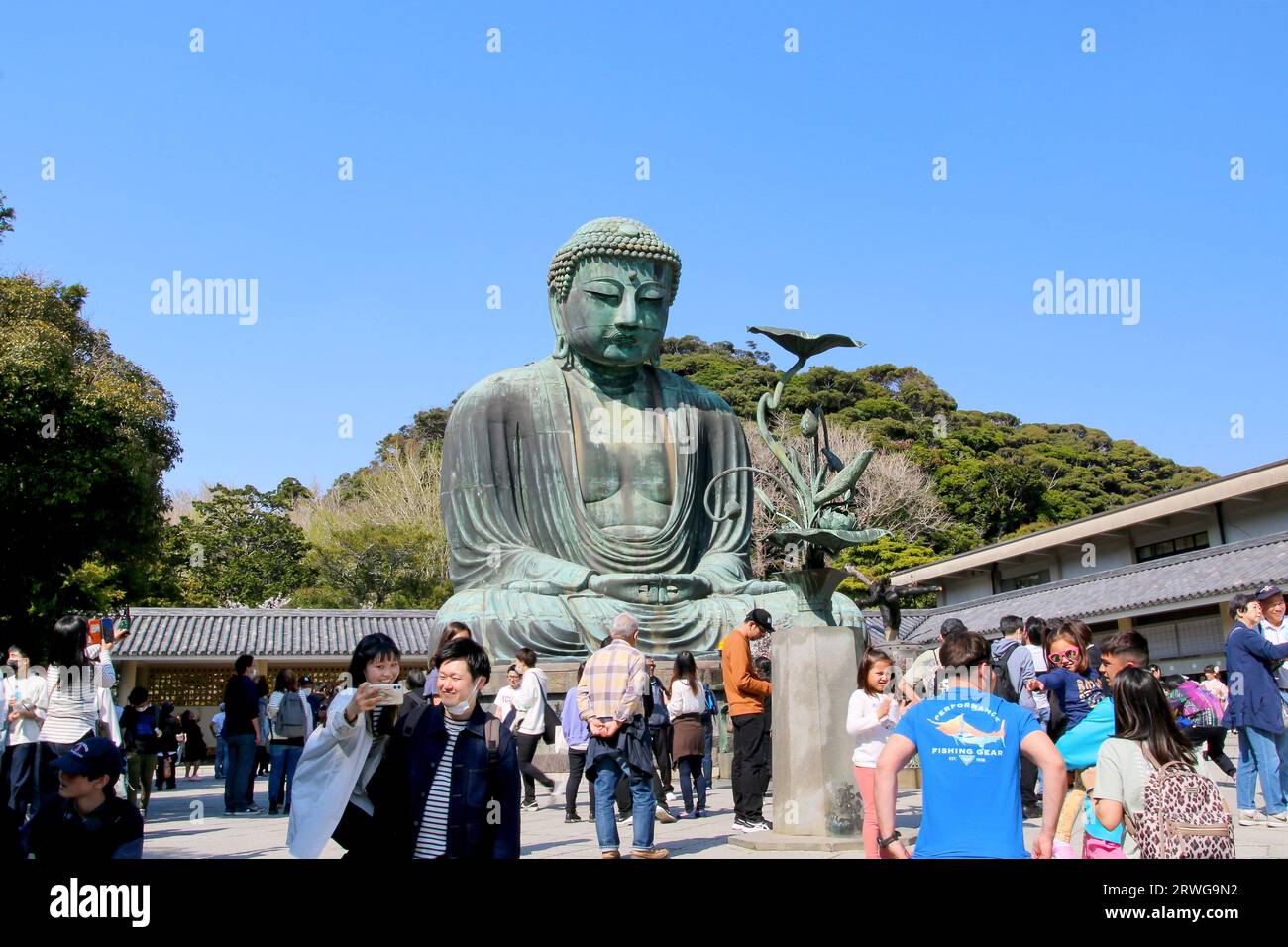 Tourists at the Great Buddha (Daibutsu) on grounds of Kotokuin Temple ...