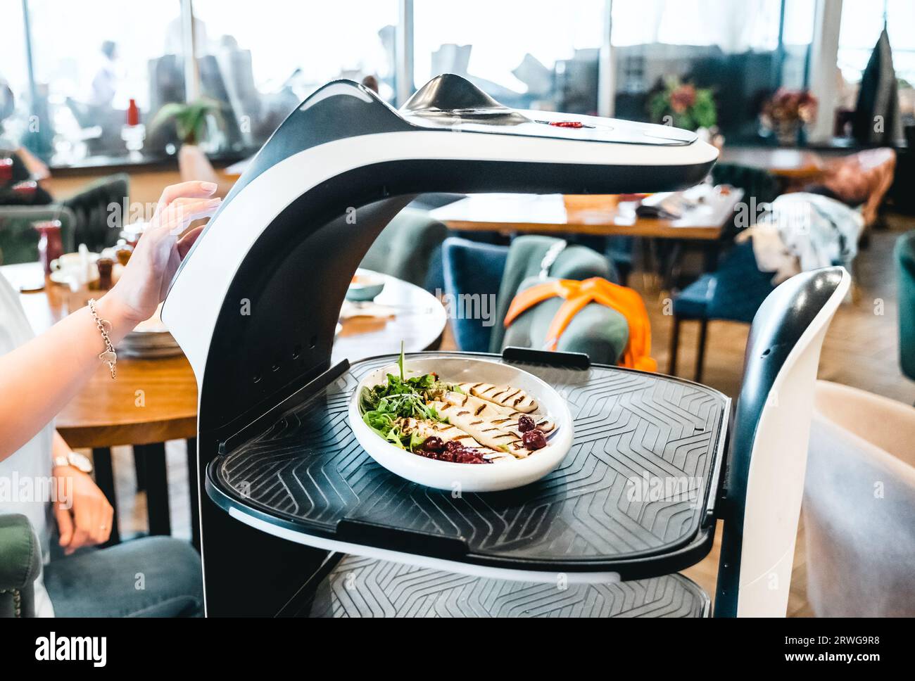 Robot waiter serve food at modern restaurant table.Offering innovation futuristic high-tech automated dining experience.Bringing,delivery automation o Stock Photo