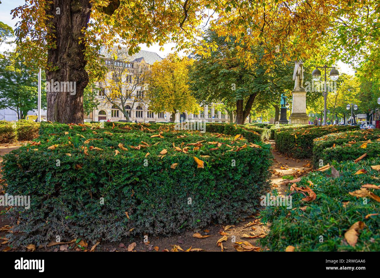 Evergreen hedges hi-res stock photography and images - Alamy
