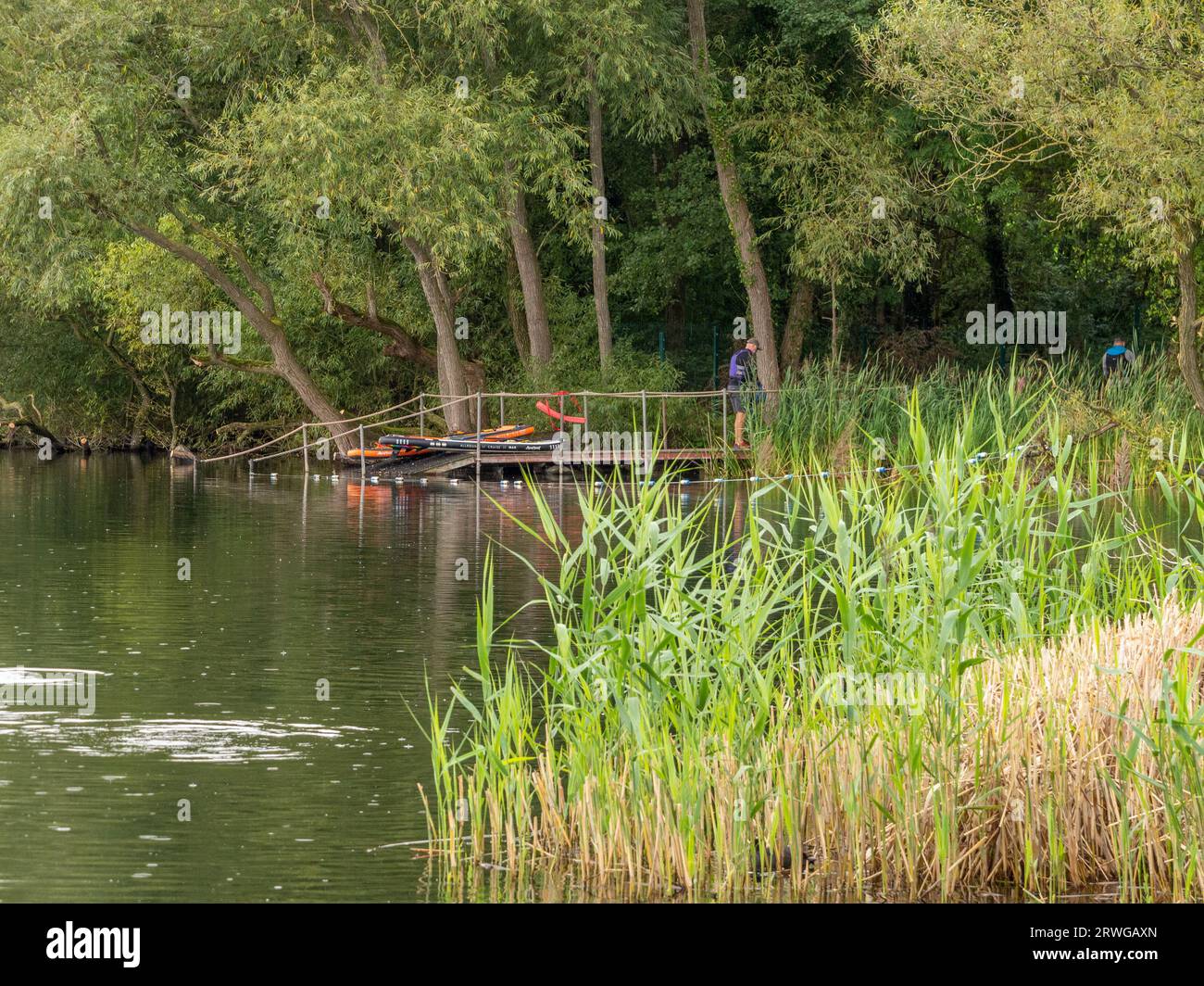 Pickmere, Knutsford, Cheshire, UK. September 14th 2023. Preperations under way for the end of the season wild water swimming One or Two mile race on P Stock Photo