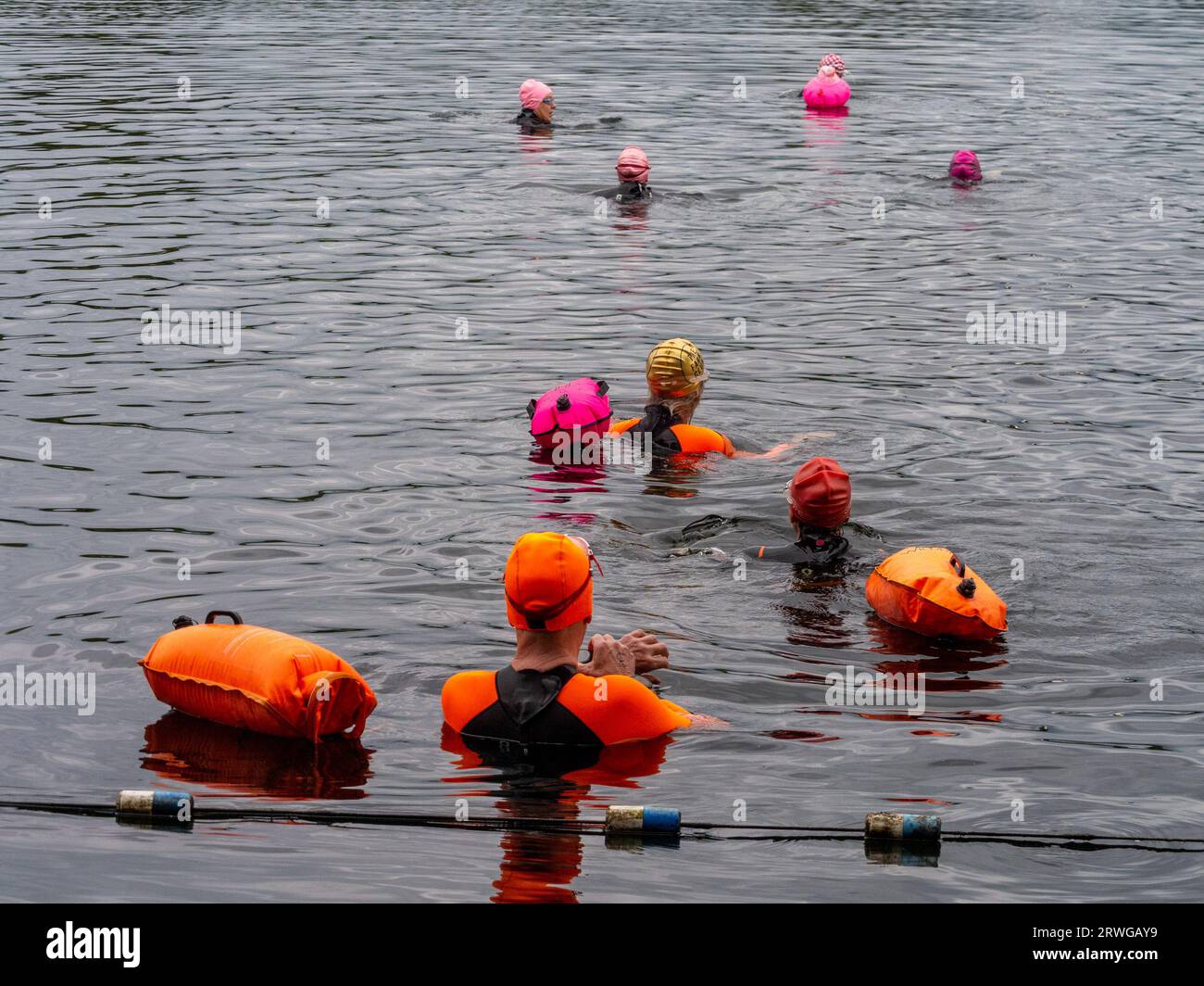 Pickmere, Knutsford, Cheshire, UK. September 14th 2023. Swimmers setting off on their end of the season wild water swimming One or Two mile race on Pi Stock Photo