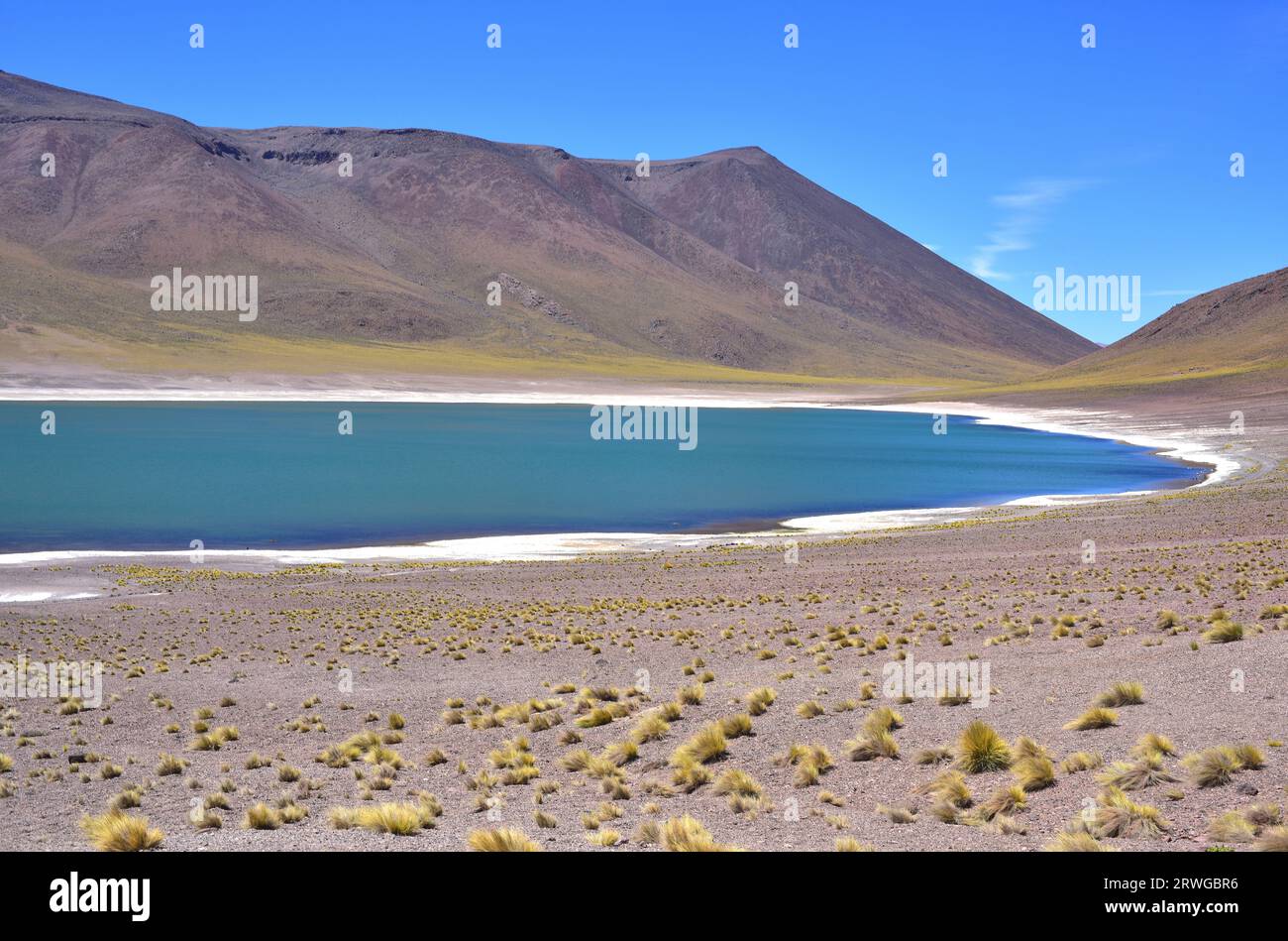 laguna-mi-iques-socaire-reserva-nacional-los-flamencos-antofagasta