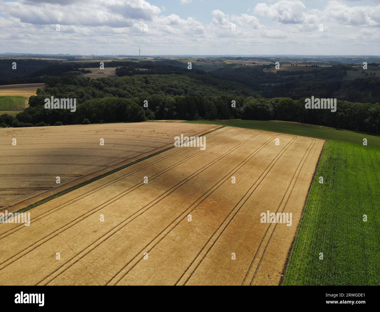 View from above of corn and crop fields in the countryside in summer Stock Photo