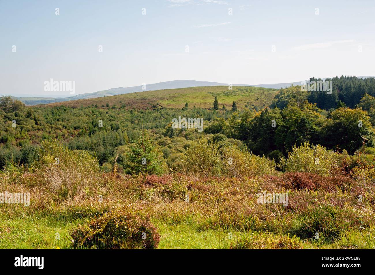 Cavan Burren Park, Geopark, Blacklion, Co Cavan, Ireland Stock Photo ...