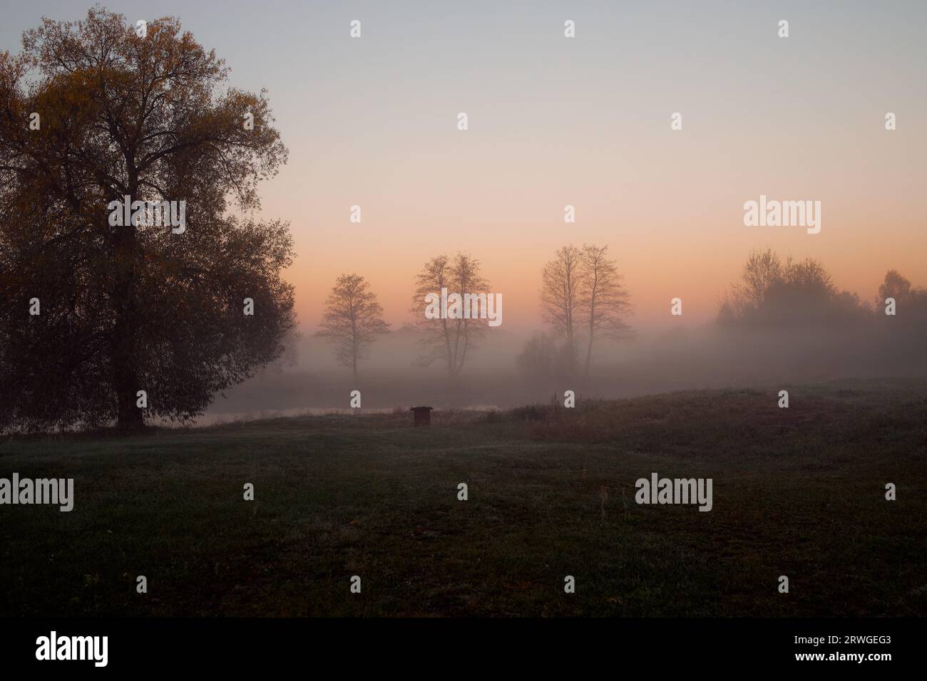 Rural foggy landscape silhouette hi-res stock photography and images ...