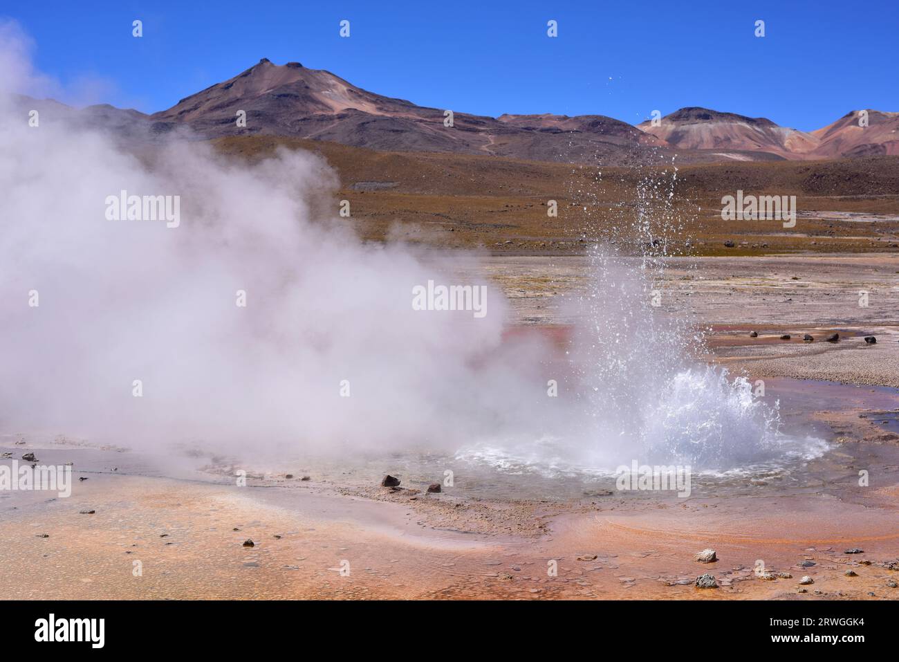 El Tatio Geyser Field. At background, El Tatio volcanic group. San ...