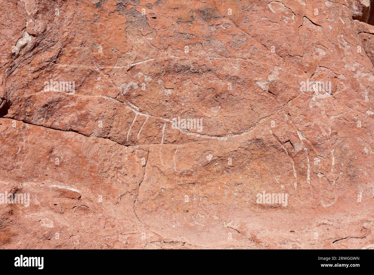 Petroglyphs in Estancia de Yerbas Buenas on rhyolite (volcanic rock