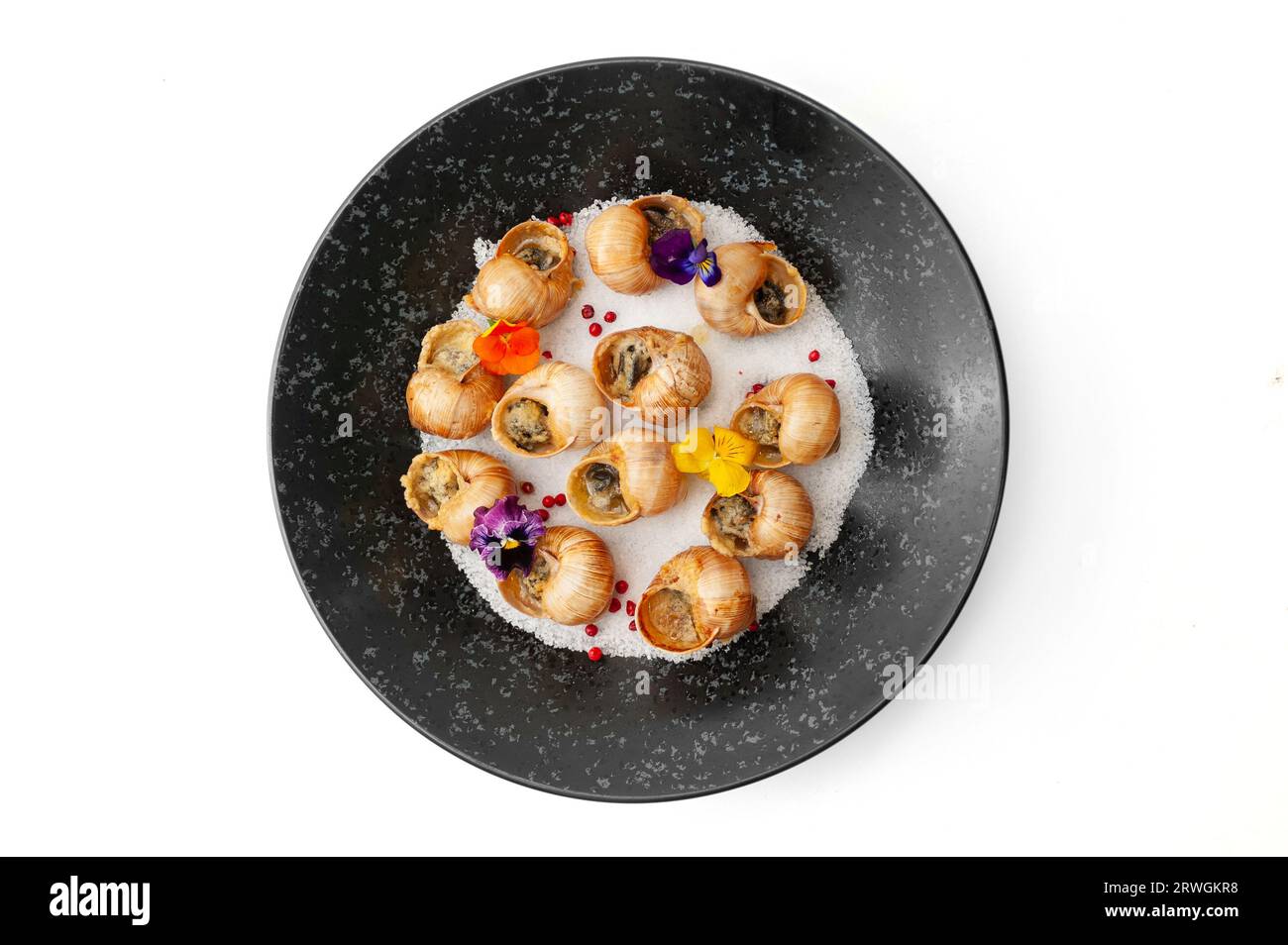 Cooked grape snails in shells, greased with green oil and garlic on top