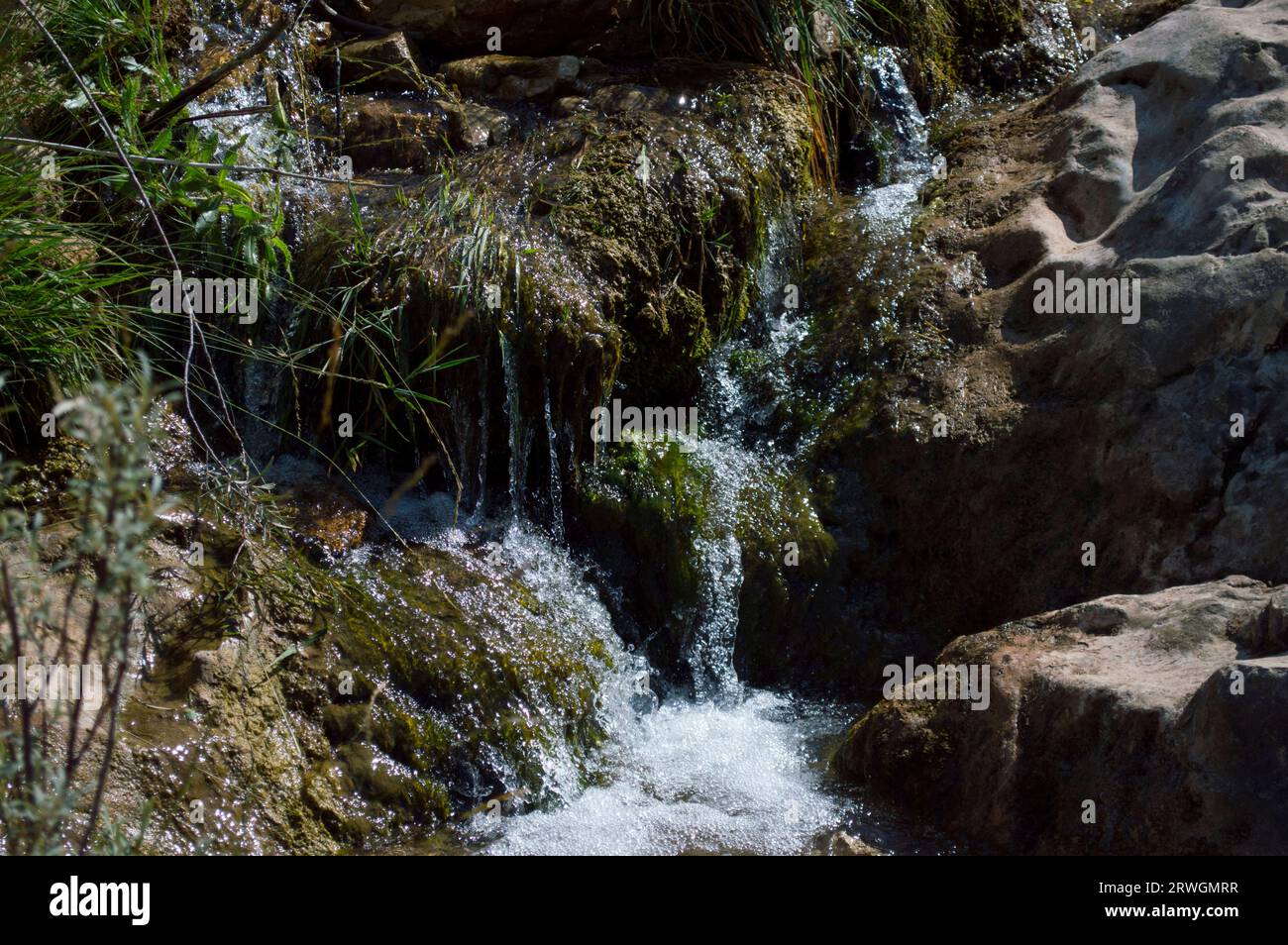 Río Cuervo Stock Photo