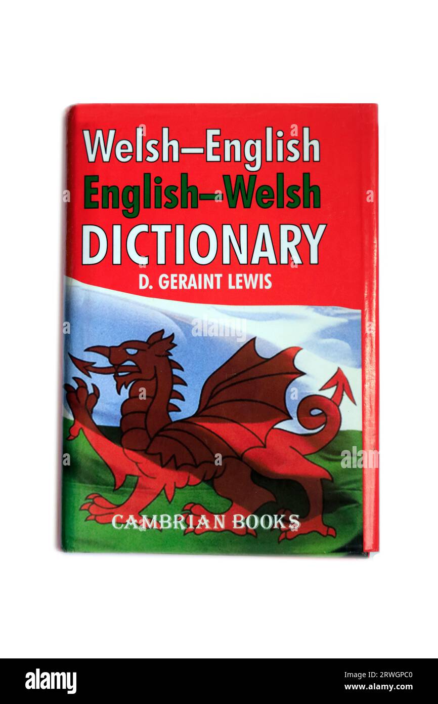 WelshEnglish, EnglishWelsh Dictionary by D. Geraint Lewis,Book cover