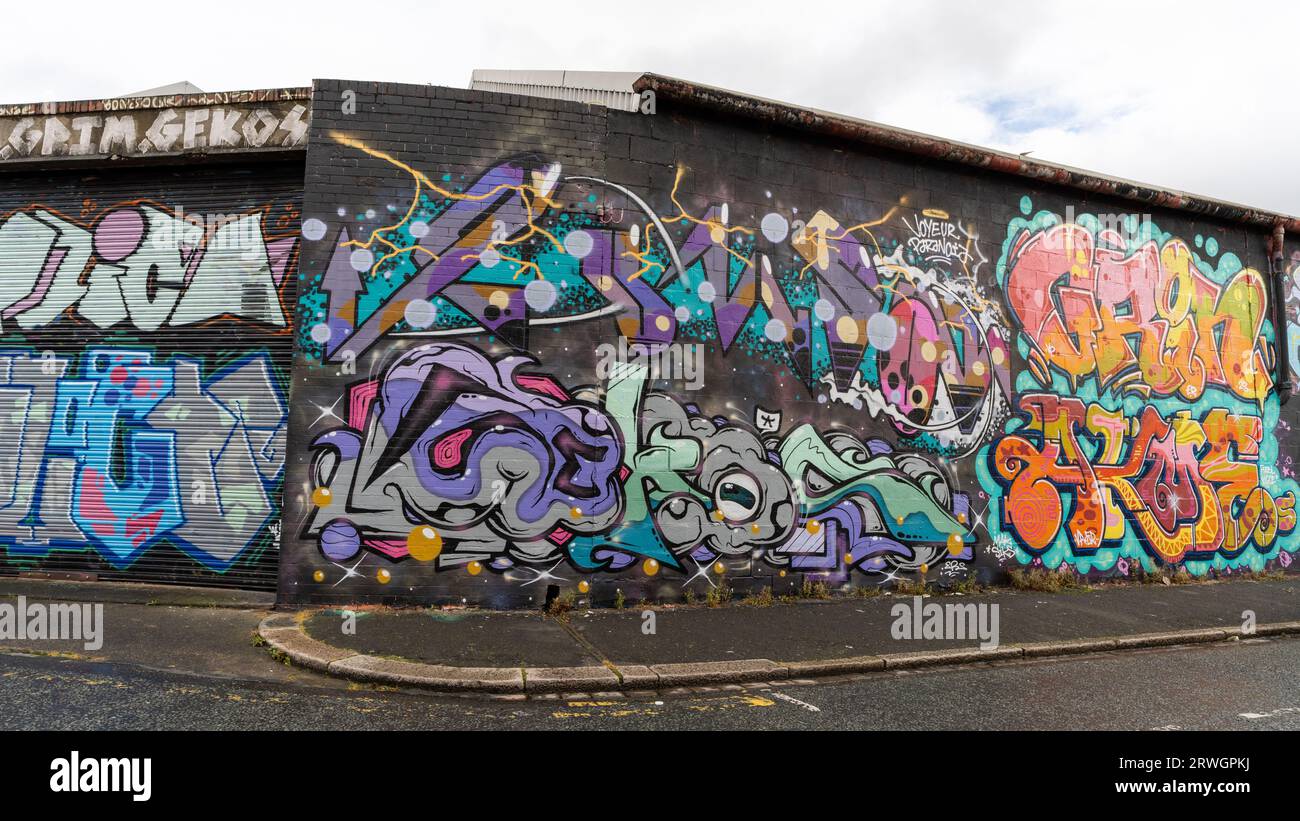 A wall of street art in the Sandyford area of the city of Newcastle