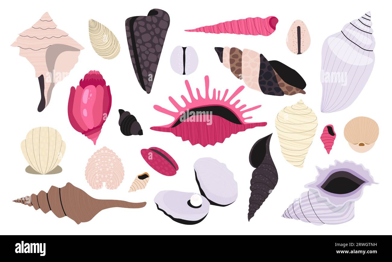 Seashell collection. Cartoon shellfish and coral, summer beach and ocean diving concept, mollusk icons flat style. Vector isolated set Stock Vector