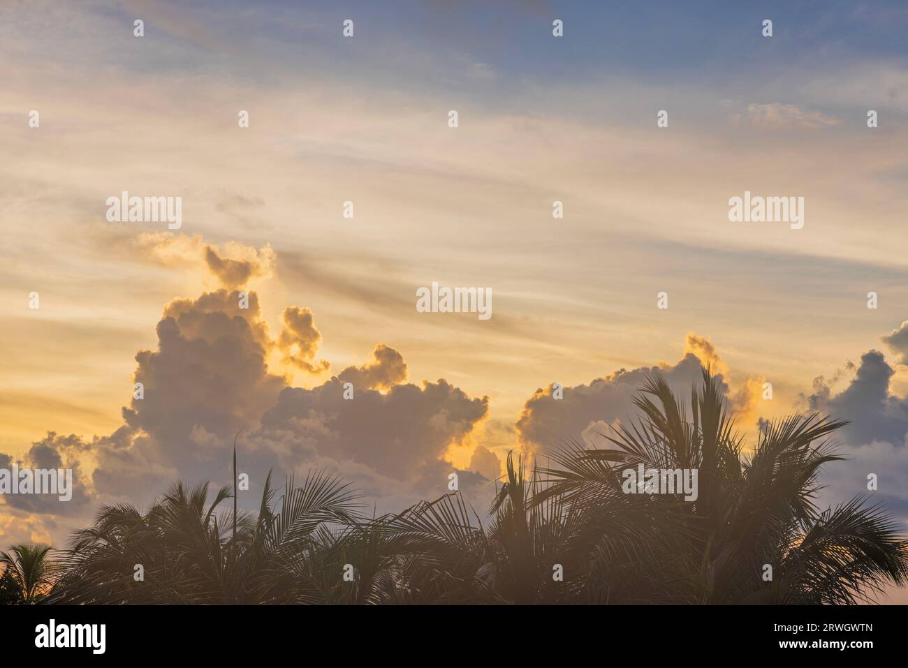 Beautiful view of hazy blue sky with white clouds during sunrise over Atlantic Ocean with palm trees in background. Miami Beach. USA. Stock Photo