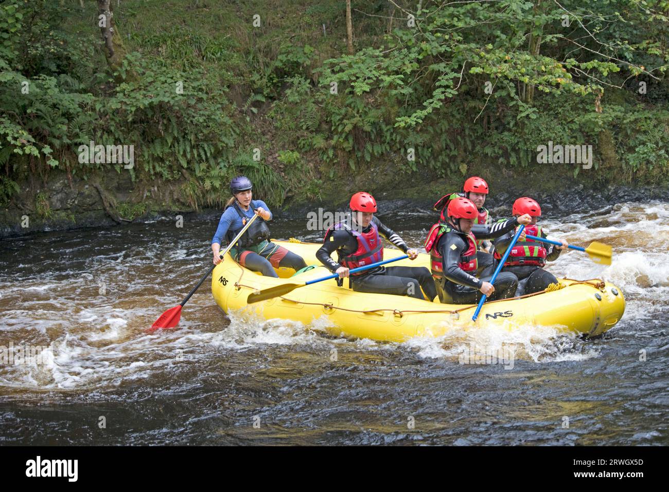 People whitewater rafting in yellow inflatable raft in River Tryweryn at the  National Whitewater Centre near Bala North Wales Stock Photo