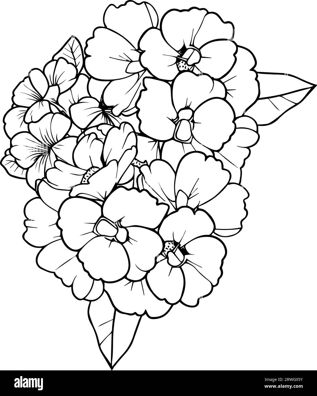 Hand drawn botanical spring elements bouquet of primrose line art