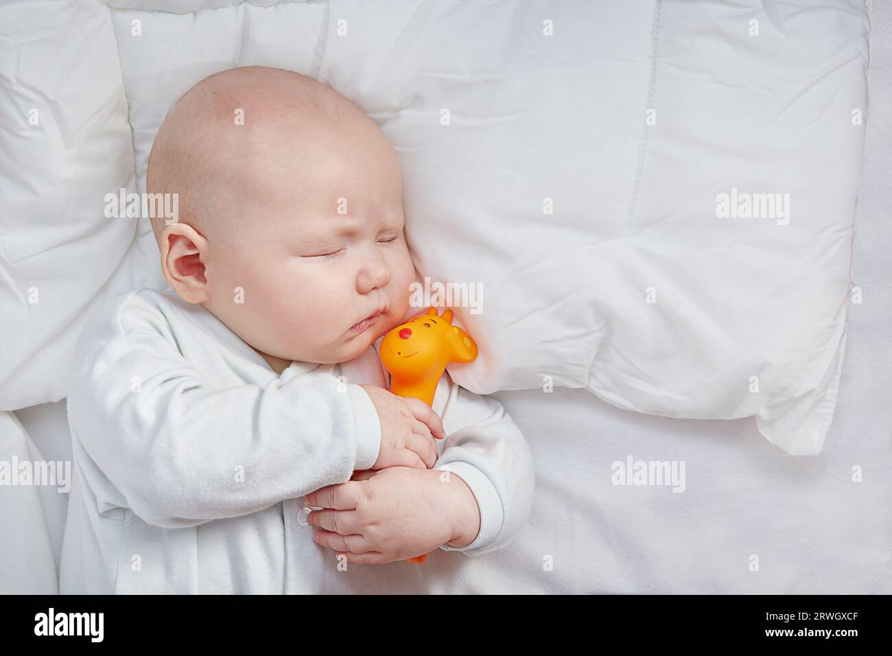 Cute Baby is sleeping with his toy giraffe. The concept of a new family and child protection. Copy space Stock Photo