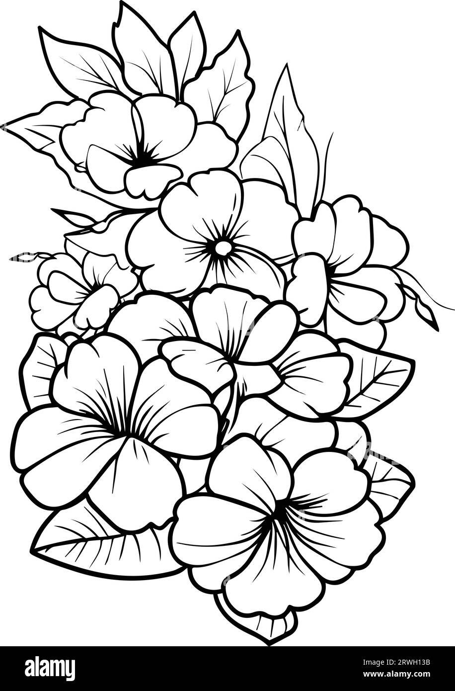 primrose engraved ink art, primula flower tattoo designs vintage