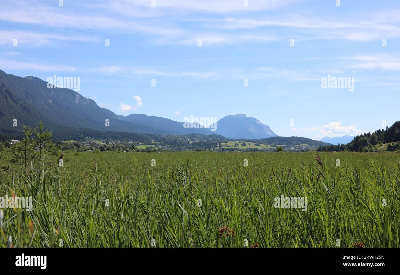 Austrian landscape of european Alps and valley in summer Stock Photo