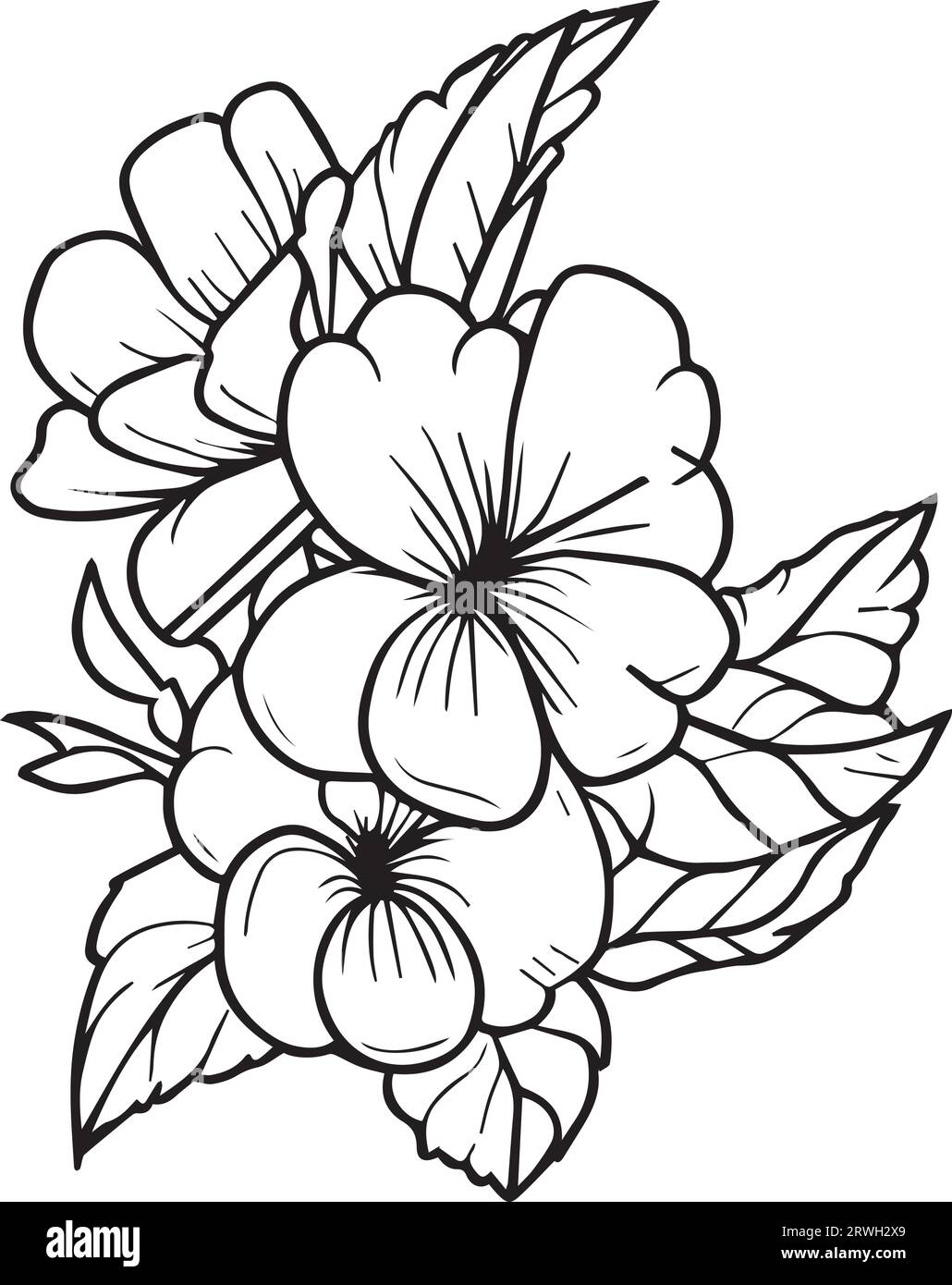 primula flower drawing, primrose flower coloring page, primrose flower ...