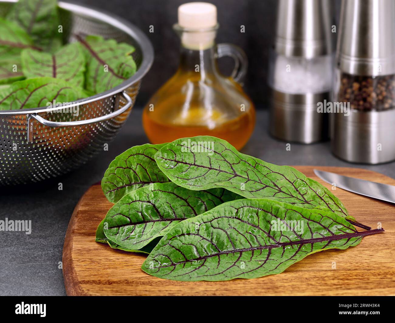 red veined sorrel leaves, Rumex sanguineus on wooden cutting board, preparing a healthy sour fitness salad from freshly harvested bloody dock leaves Stock Photo