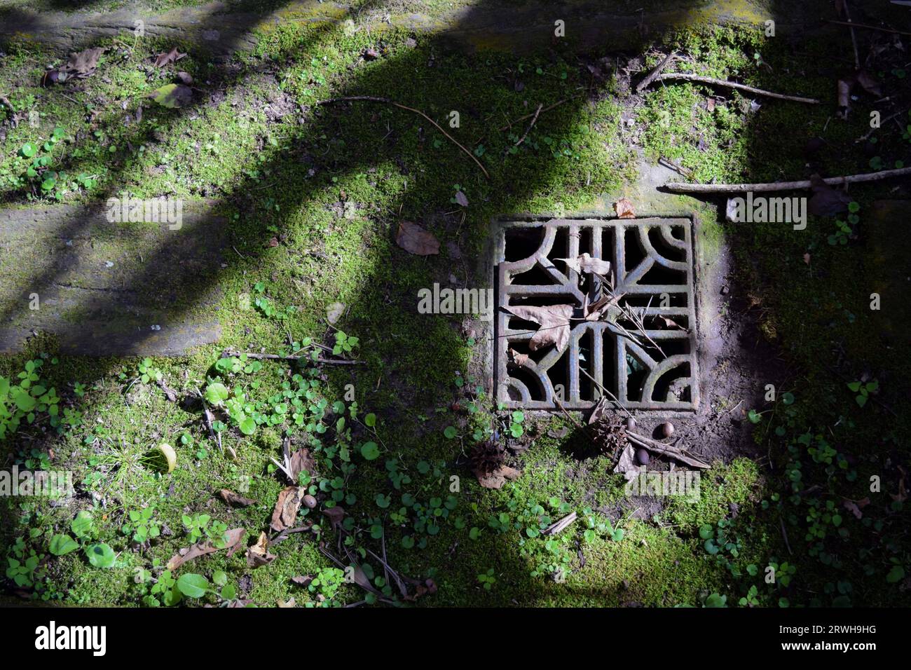 Storm drain grate in the garden Stock Photo