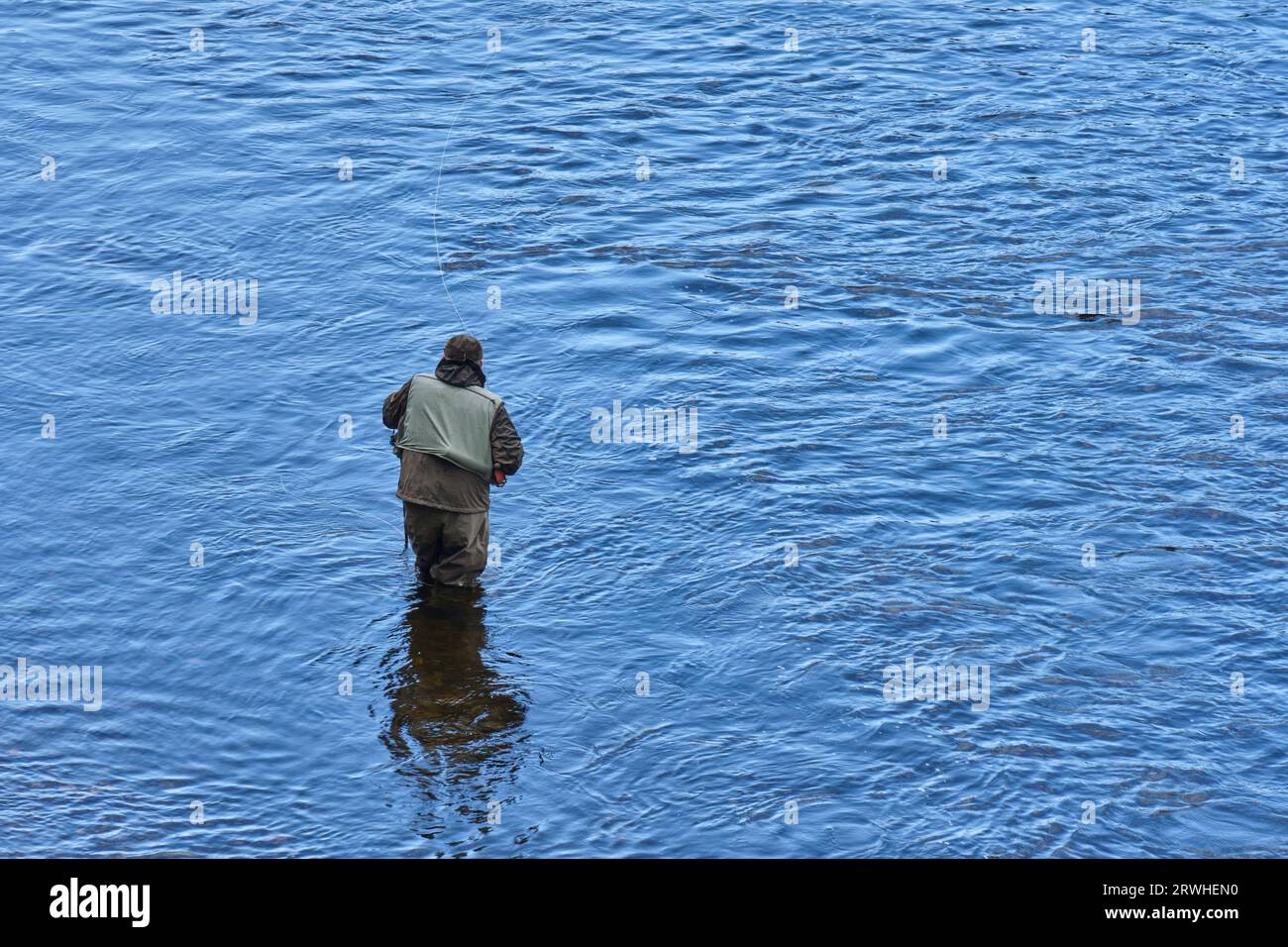 Fly Fisherman in the River Eden at Warwick Bridge, Aglionby, Carlisle, Cumbria Stock Photo