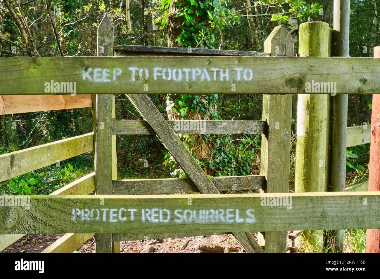 Kissing Gate with sign saying Keep to Footpath To Protect Red Squirrels, at Warwick Moor Wood, near Alglionby, Carlisle, Cumbria Stock Photo