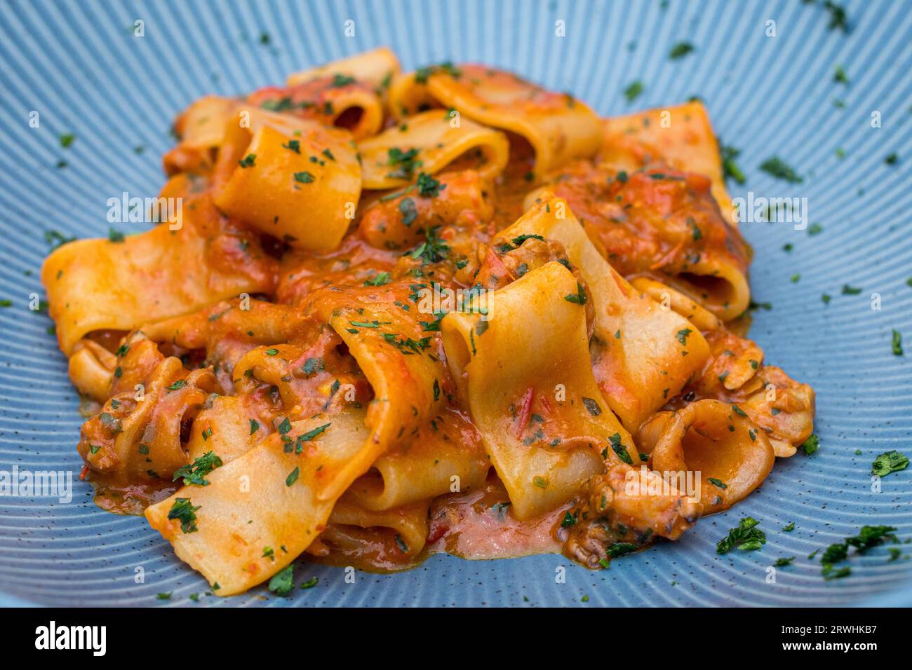 Classic pasta called Calamarata with seafood. Photo of a plate with blue and white stripes garnished with fresh parsley. First fish course. Stock Photo