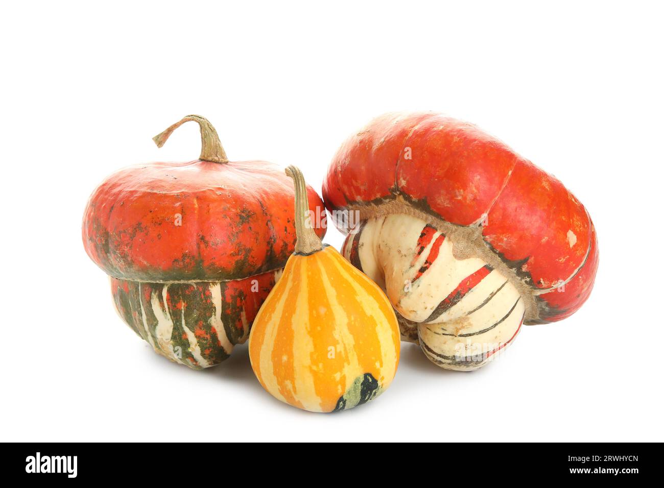Different fresh pumpkins on white background Stock Photo - Alamy