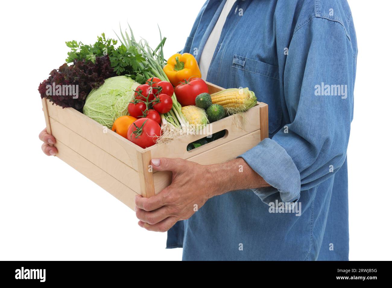 Harvesting season. Farmer holding wooden crate with vegetables on white ...