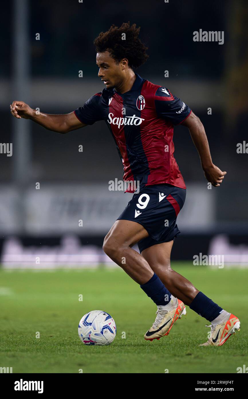 Joshua Zirkzee of Bologna FC n action during the Serie A football match between Hellas Verona FC and Bologna FC. Stock Photo