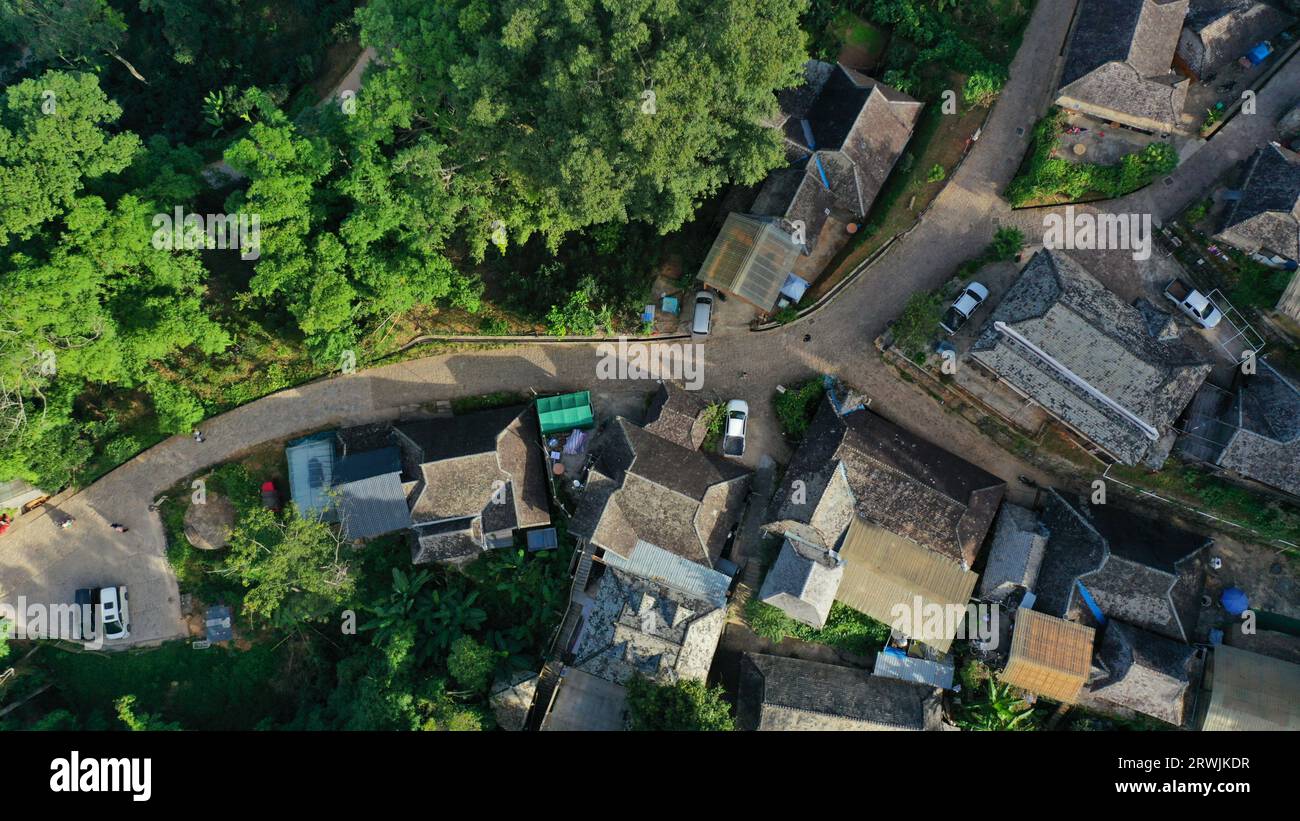 Pu'er. 17th Sep, 2023. This aerial photo taken on Sept. 17, 2023 shows the road in Wengji Village of Pu'er City, southwest China's Yunnan Province. The Cultural Landscape of Old Tea Forests of Jingmai Mountain in Pu'er was inscribed on the UNESCO World Heritage List on Sunday at the extended 45th session of the UNESCO World Heritage Committee in Riyadh, Saudi Arabia, making it China's 57th World Heritage Site. Credit: Tang Rufeng/Xinhua/Alamy Live News Stock Photo