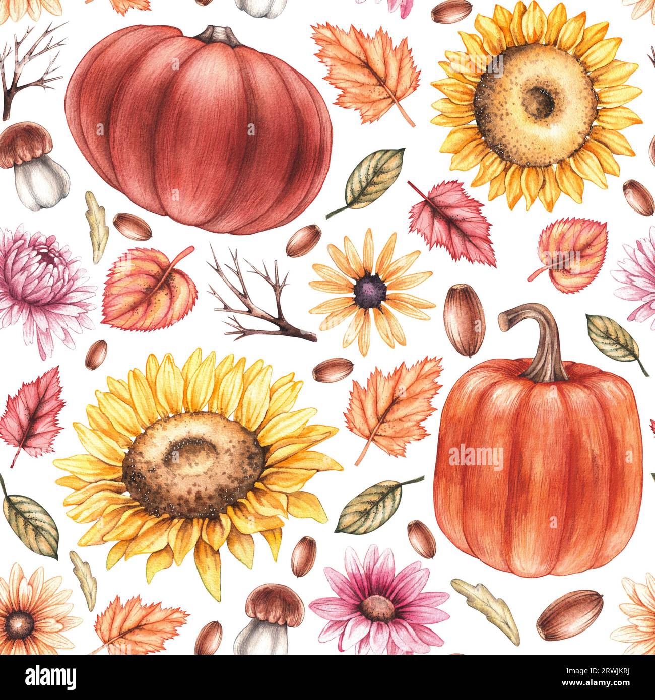 Watercolor autumn pattern. Hand drawn patterns of autumn plants ...