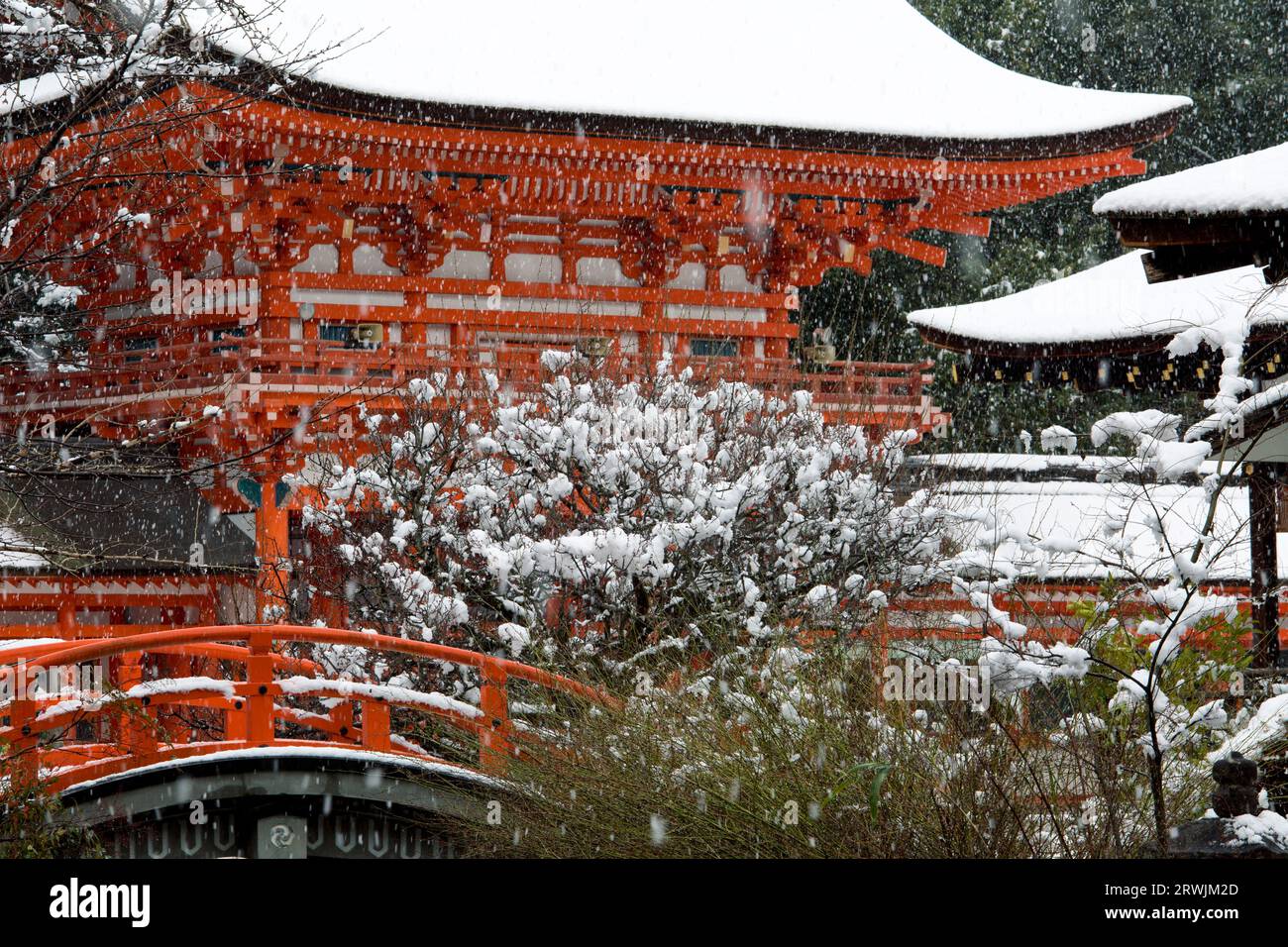 Shimogamo jinja shrine hi-res stock photography and images - Alamy