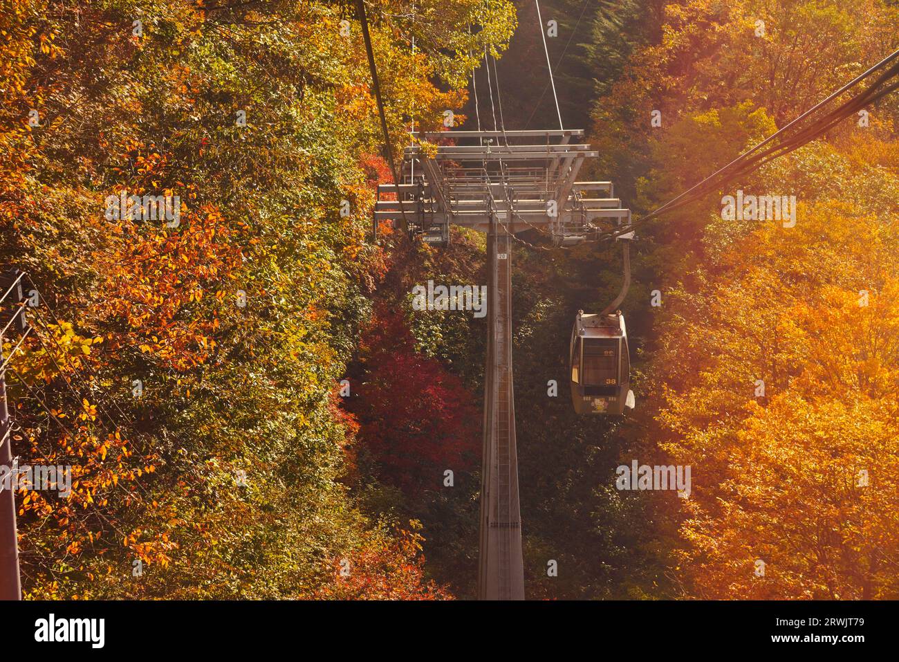 Fujimidai-kogen ropeway in autumn Stock Photo - Alamy