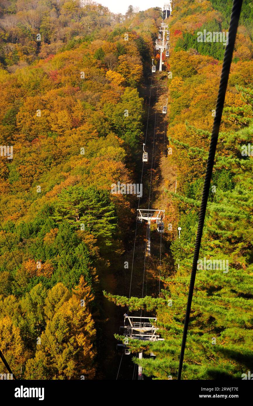 Fujimidai-kogen ropeway in autumn Stock Photo - Alamy