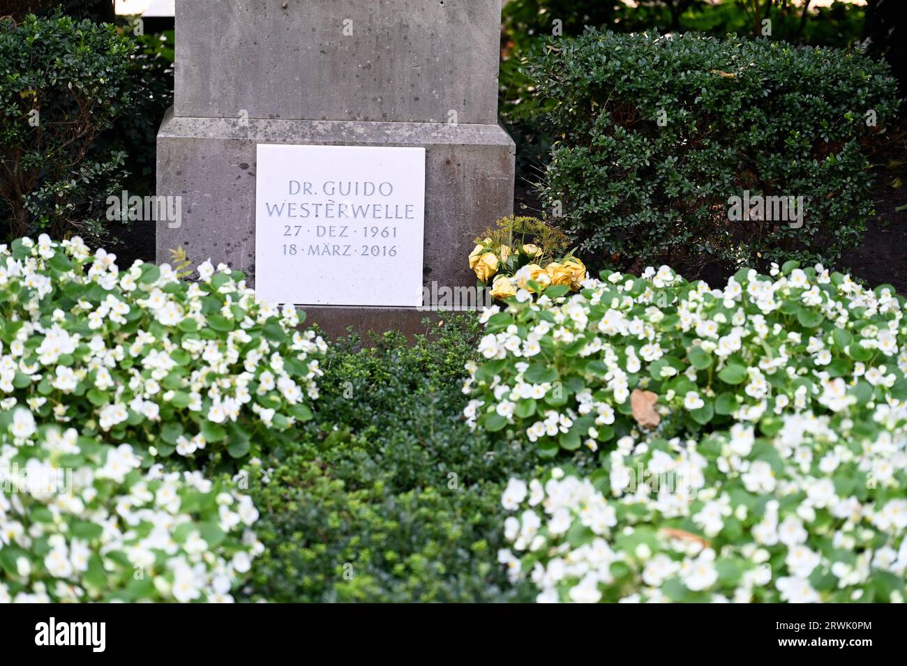 Cologne, Germany. 10th Sep, 2023. The gravesite of politician Guido Westerwelle . Grave at the Cologne celebrity cemetery Melaten Credit: Horst Galuschka/dpa/Horst Galuschka dpa/Alamy Live News Stock Photo