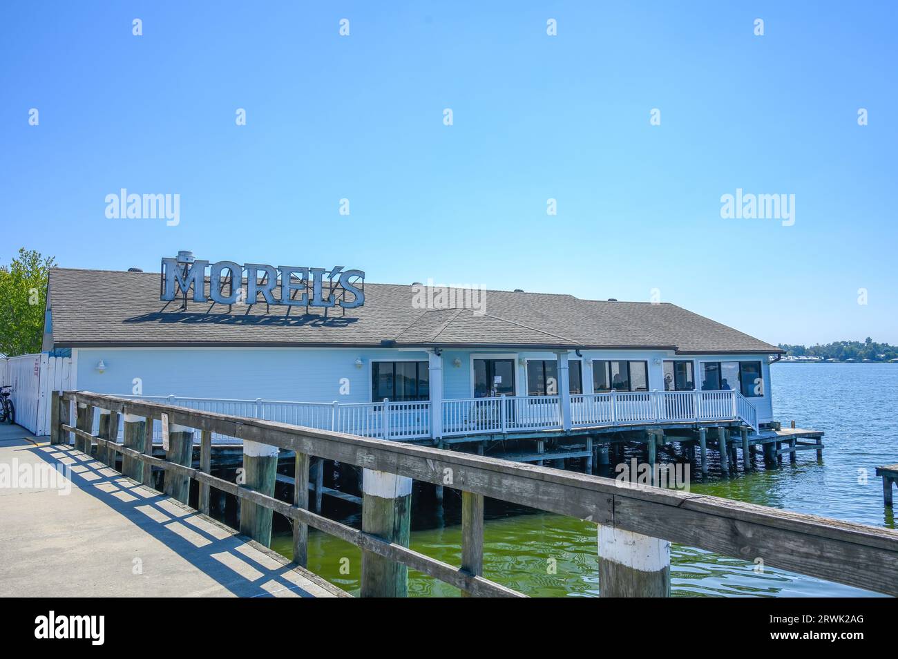 NEW ROADS, LA, USA SEPTEMBER 19, 2023 Side view of Morel's