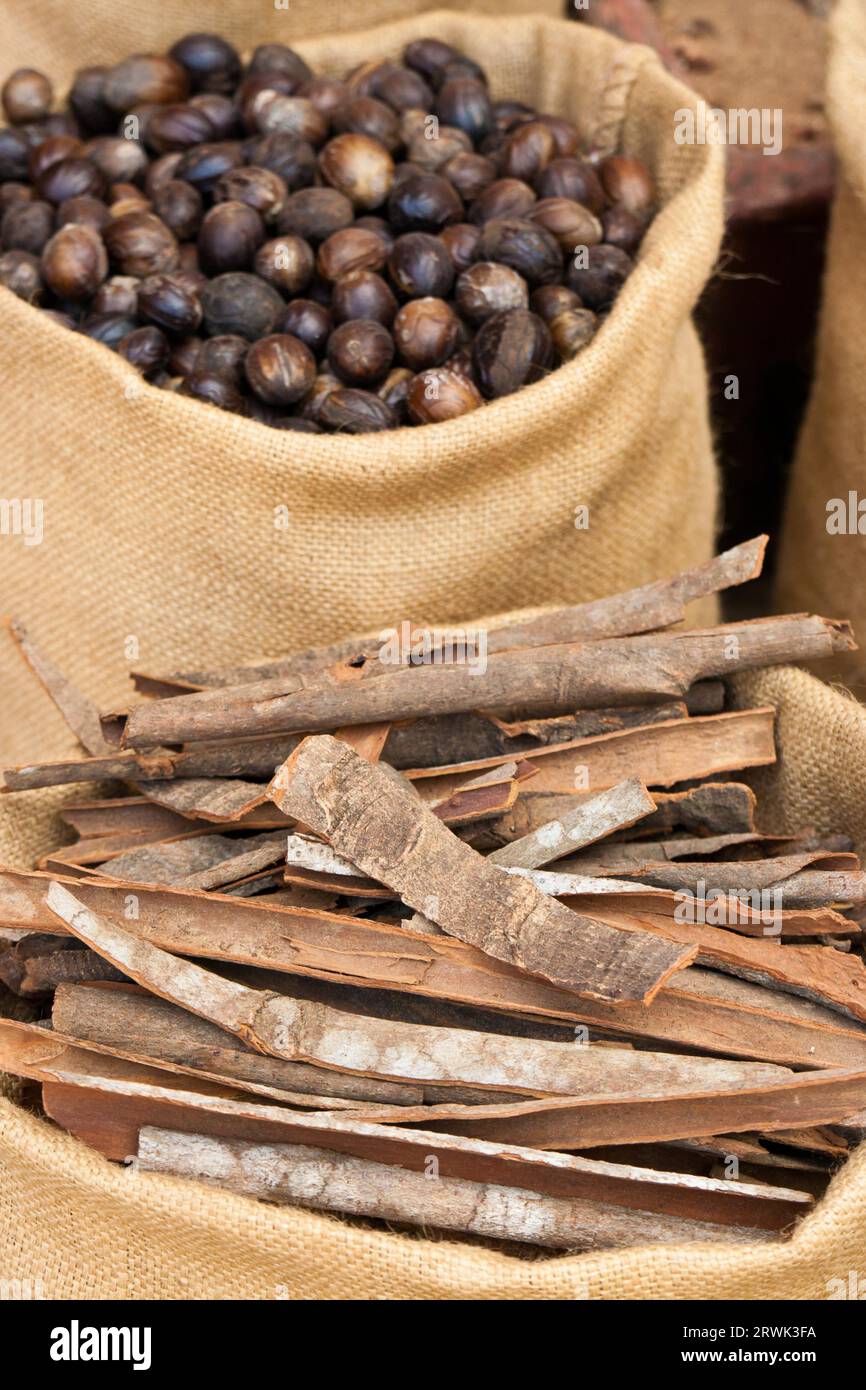 Cinnamon bark and nutmeg in Kerala, India, Cinnamon and nutmeg in Kerala, India Stock Photo Alamy
