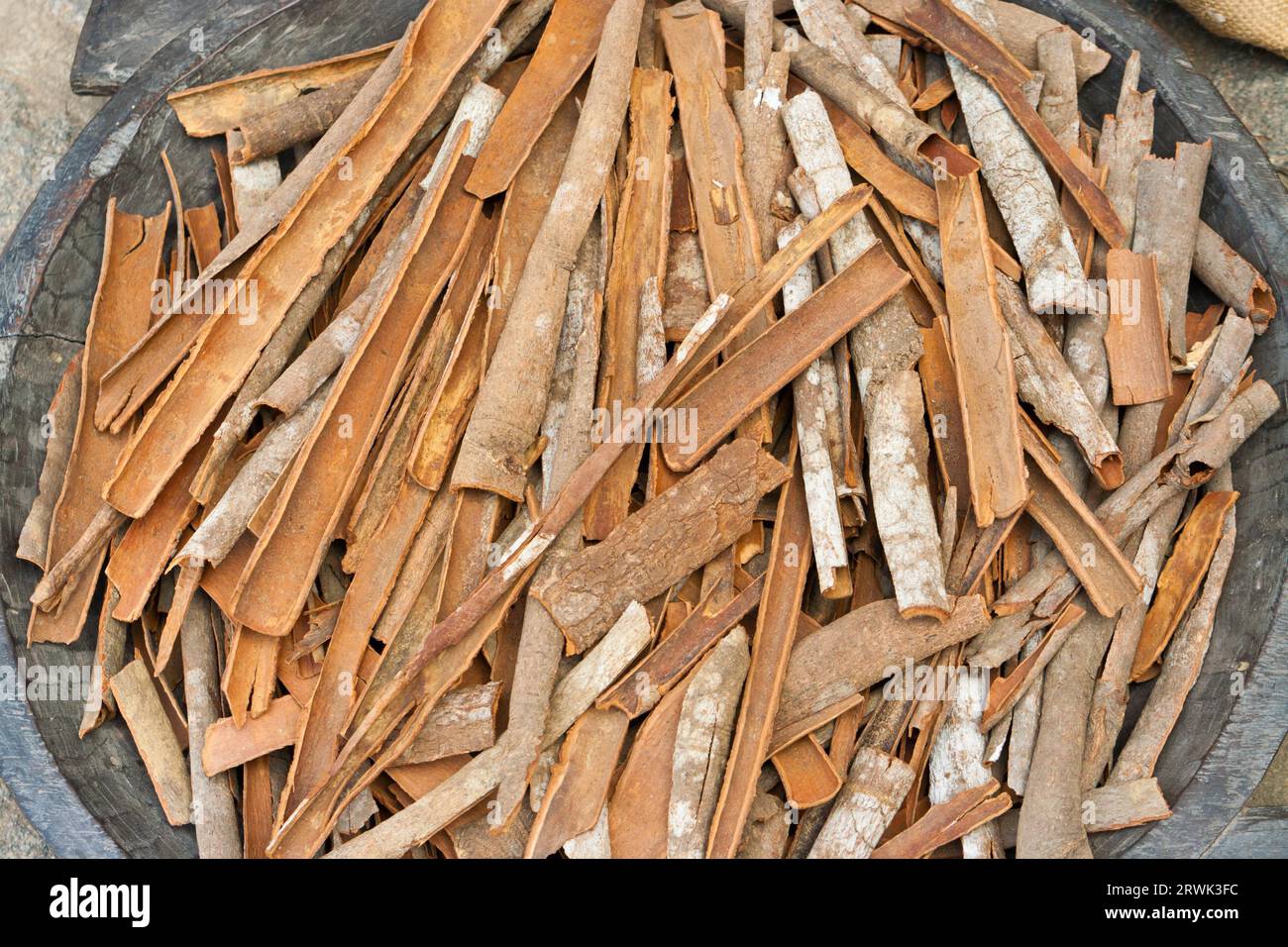 Cinnamon bark in Kerala, India, Cinnamon in Kerala, India Stock Photo